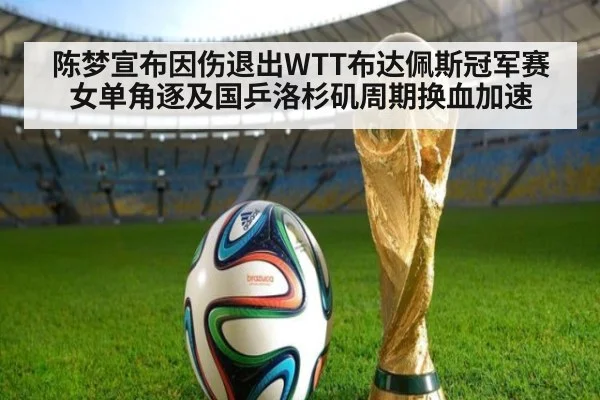 陈梦宣布因伤退出WTT布达佩斯冠军赛女单角逐及国乒洛杉矶周期换血加速